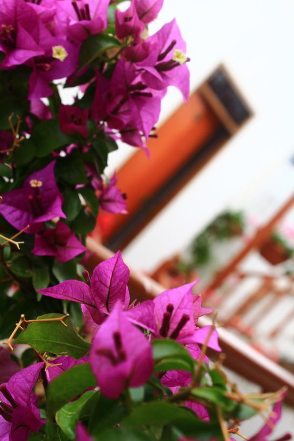 Amaru Hotel Huaraz Extérieur photo